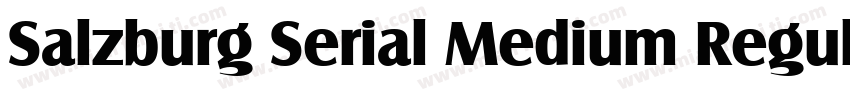 Salzburg Serial Medium Regular字体转换